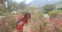TABA