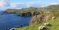 Slea head
