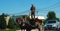 Albański rolnik